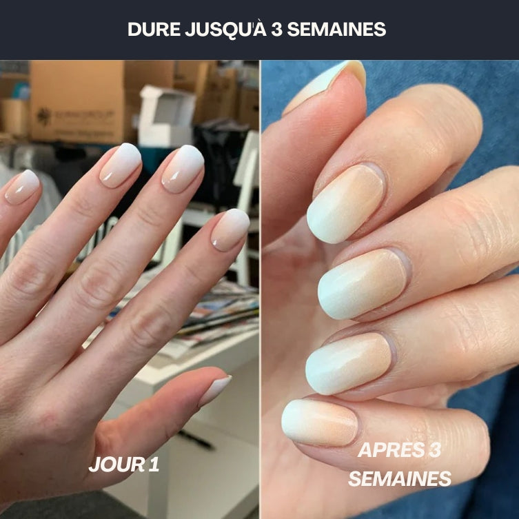 Pack découverte