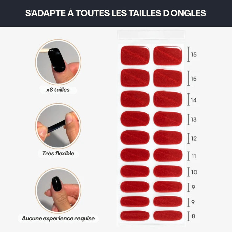 Pack découverte